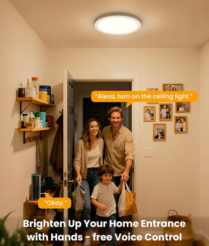 ShineCrag 12 Inch Smart Ceiling Lights, 2400LM RGBCW LED Flush Mount Ceiling Light Work with App & Voice Control, 2700K-6500K Dimmable LED Ceiling Light Fixture for Living Room Bedroom