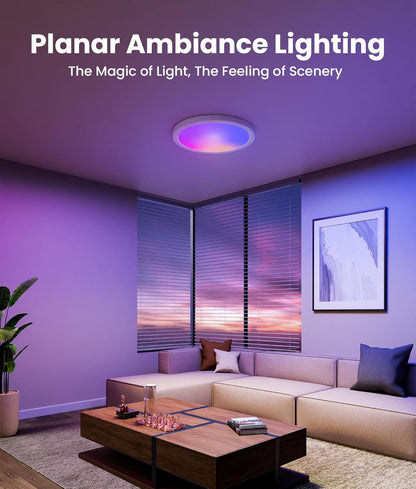 ShineCrag 12 Inch Smart Ceiling Lights, 2400LM RGBCW LED Flush Mount Ceiling Light Work with App & Voice Control, 2700K-6500K Dimmable LED Ceiling Light Fixture for Living Room Bedroom